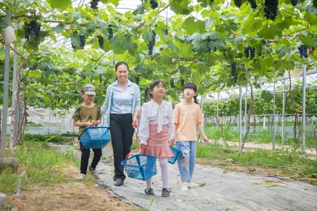 长泰南山谷：四季葡萄承包你一年的甜蜜