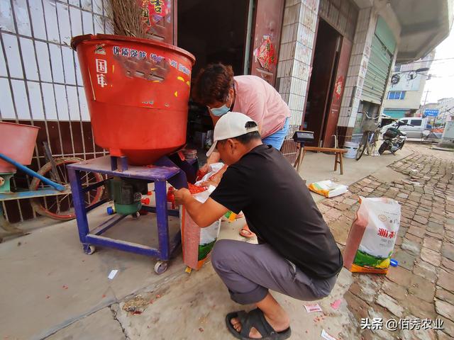 种植大豆，啥时候播种最好？农业专家教你怎样种出高产大豆