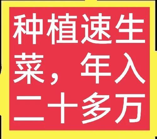 农民种植速生菜，每年上市5-10茬，年收入20多万，是如何做到的？