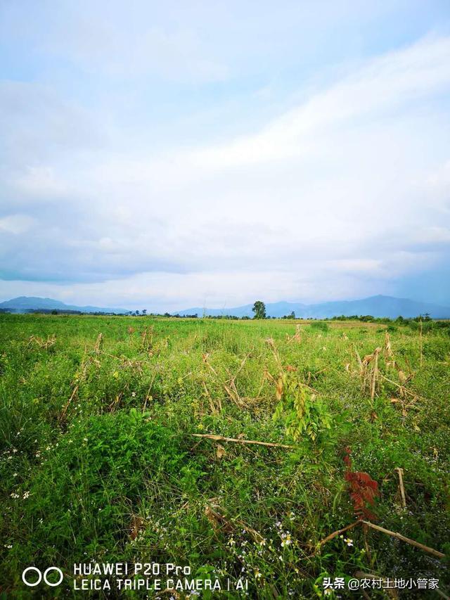 老挝6000亩水浇地出租，适合种植西瓜等反季节蔬菜瓜果