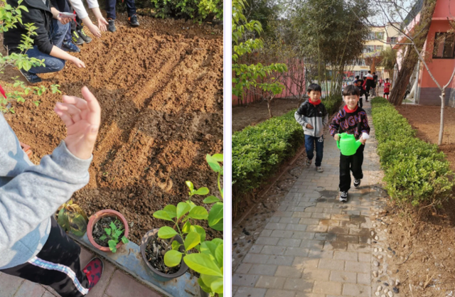 “海棠农场”春日种植忙！济南市经八路小学学生体验种植的快乐