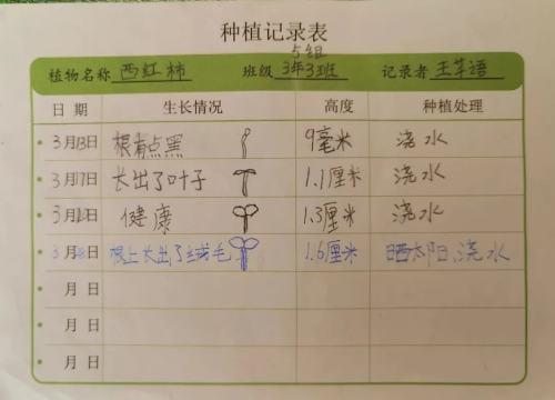 春风吹过，种植有我——大东四校科学学科综合实践活动