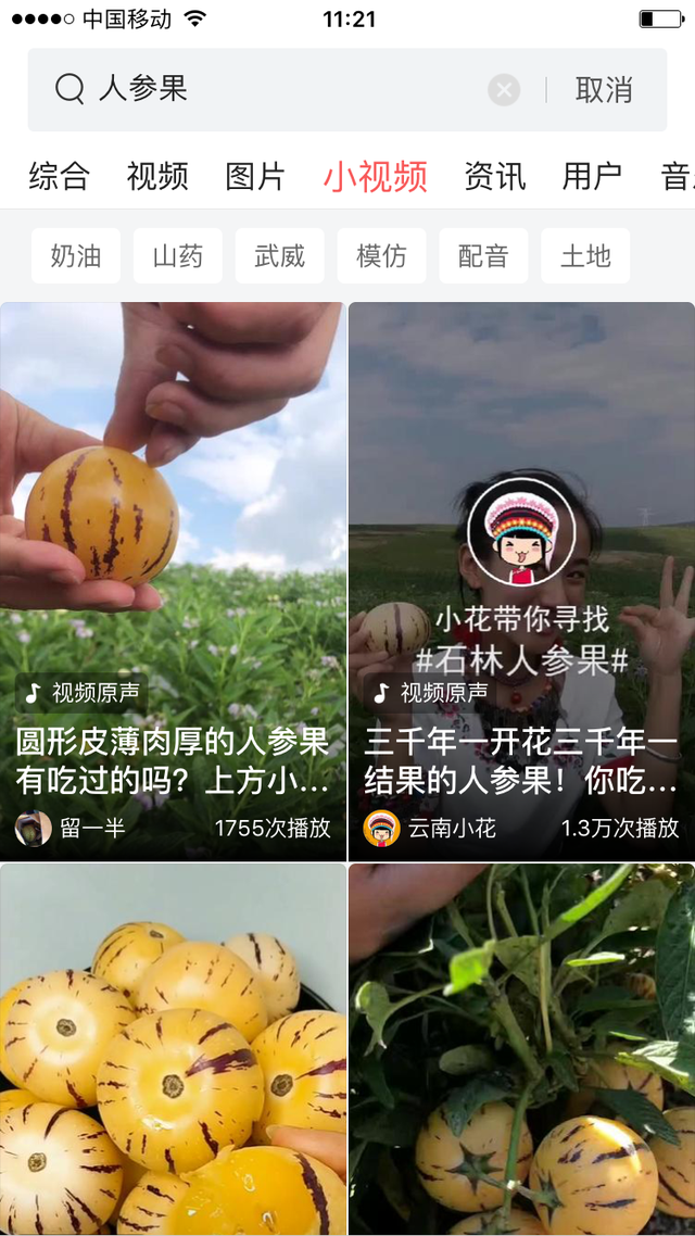 人参果到底是种什么水果，应该如何种植