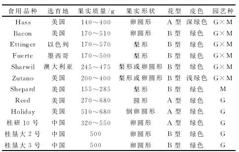 靠营销手段上位的牛油果，适合哪些地方种植，如何种植？