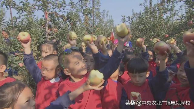 【农广天地】孙子故里 果香鱼肥