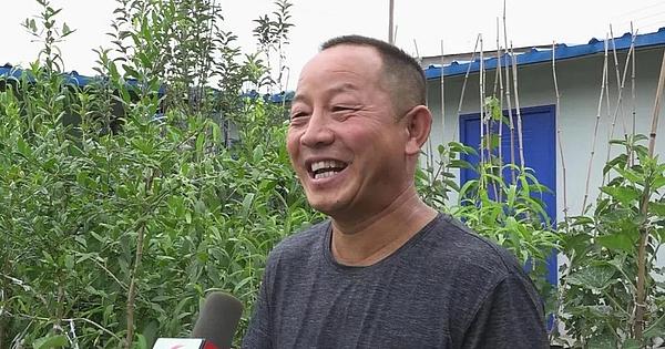 丹州街道后门村：小小葡萄孕育致富之路