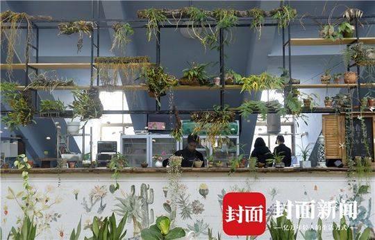 成都“花痴”夫妻建“无土”空中花园 一年四季玫瑰盛开