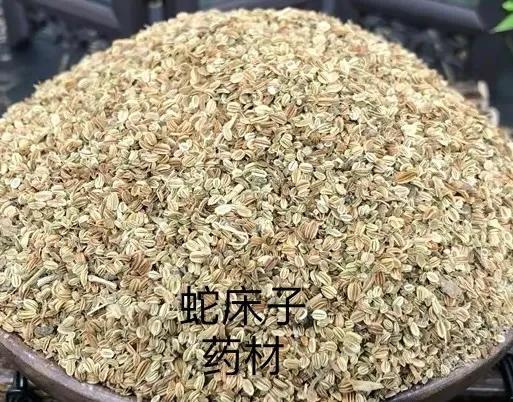 蛇床子盐碱地生长良好 在湿地种植产量高 种一次多年收获