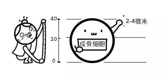 种植体选哪种？挑选秘籍统统告诉你