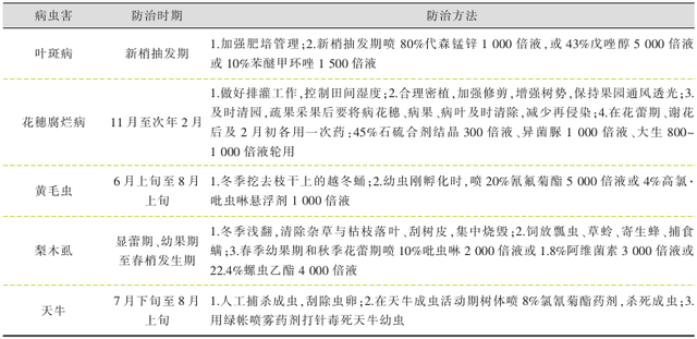 采取抗寒防冻栽培措施，有利于提高软条白沙枇杷鲜果产量和品质