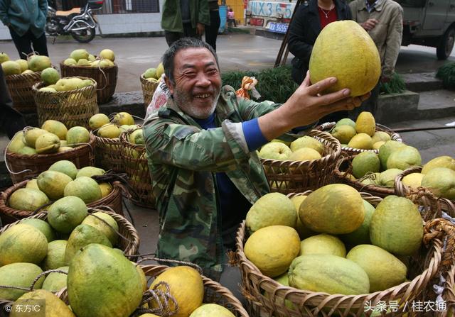 广西各市水果种植面积产量大排名，看看你的家乡排第几？