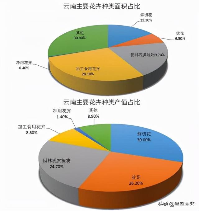 速看｜2020云南花卉产业发展情况分析