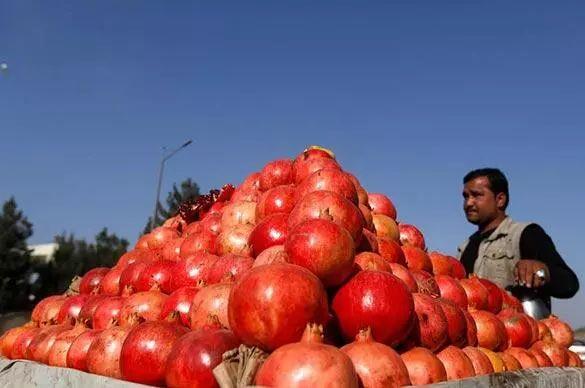 你知道葡萄、核桃和“黑暗”香菜..这些食材都是怎么进入中国的吗？