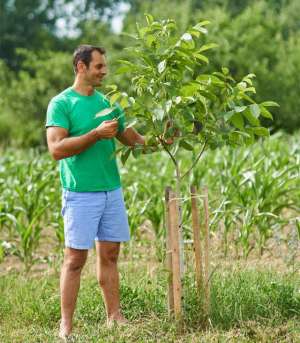 核桃种植条件(核桃树栽培技术｜核桃树对生长环境的7个要求)