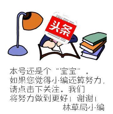 【树木传奇】雅乐清音传天下——泡桐