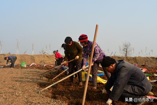 城里人羡慕农村，承包10亩地做农民，怎么做才能挣钱？