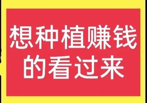 有土地却不知道种什么？来看看这几个项目吧，真的很赚钱