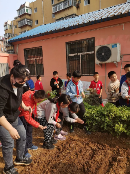 “海棠农场”春日种植忙！济南市经八路小学学生体验种植的快乐