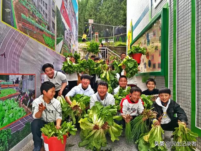 龙桂小学校本课程种植园“新芽园”之收获篇