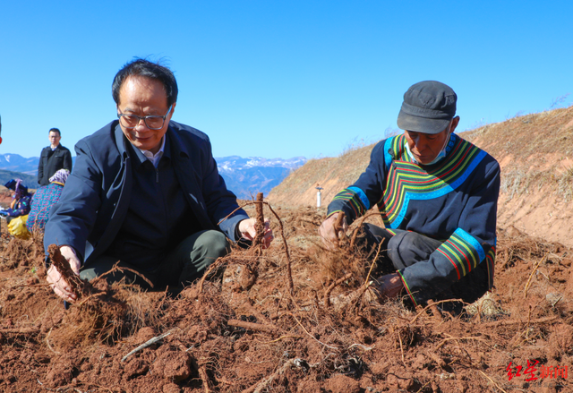 我当代表委员这五年丨耿福能：见证凉山巨变，发展中药材种植助力乡村振兴