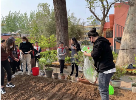 “海棠农场”春日种植忙！济南市经八路小学学生体验种植的快乐