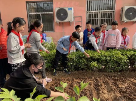 “海棠农场”春日种植忙！济南市经八路小学学生体验种植的快乐