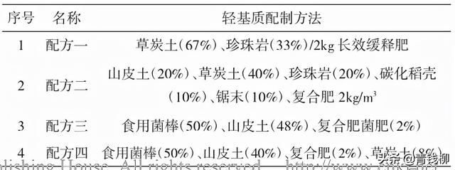 北美乔松轻基质网袋播种育苗技术