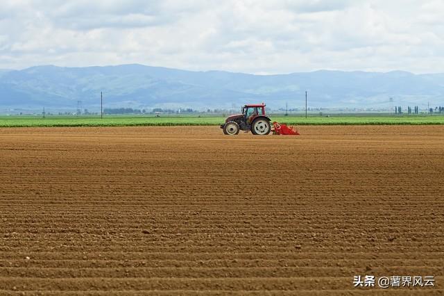 2021年东北、华北马铃薯种植面积调查报告