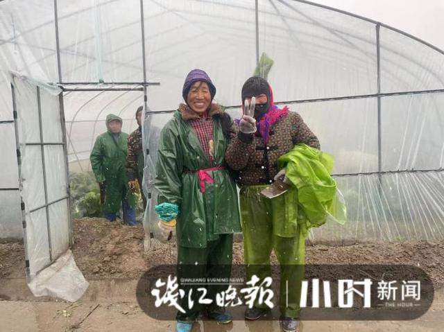 雪下得凌厉，杭州萧山一蔬菜基地，三位大姐雪中抢菜一分钟也不敢停