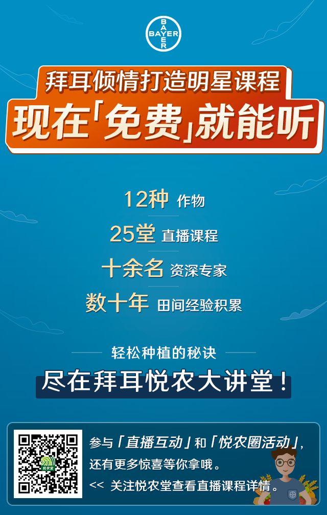 听说有人要免费送你25个轻松种植秘诀？