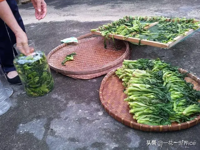 油菜田边的一种野菜，俗称“野腊菜”，腌酸菜堪称一绝