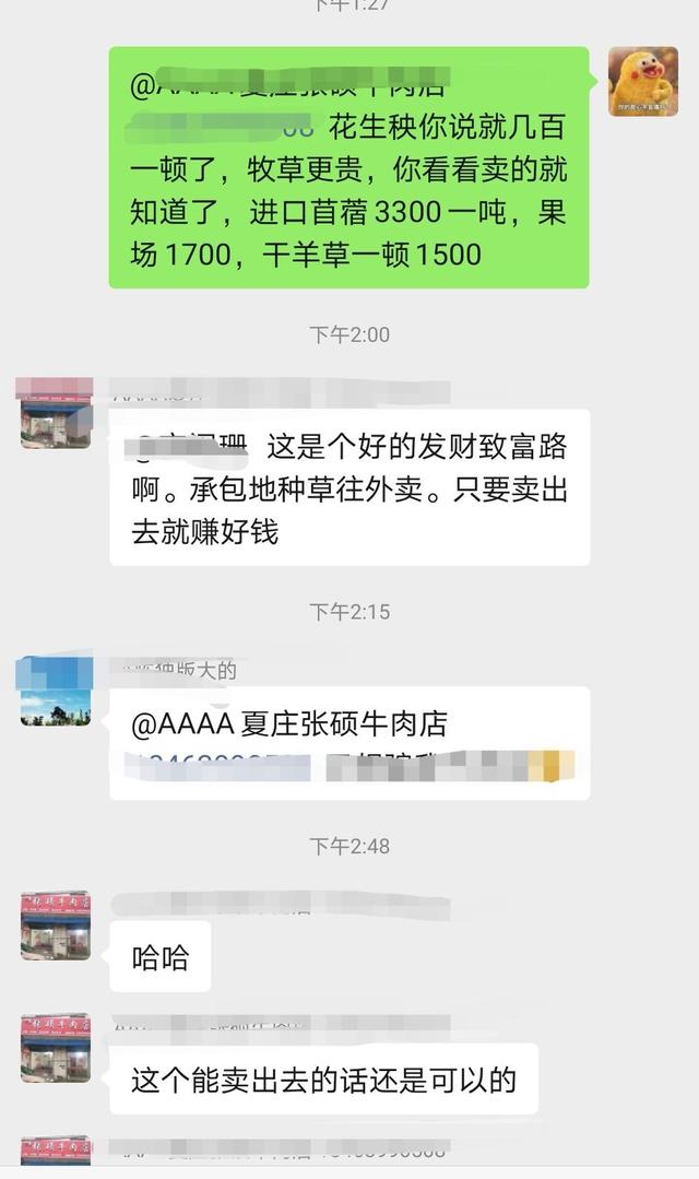 种一亩地牧草能赚2400元？这是实话还是理论呢？