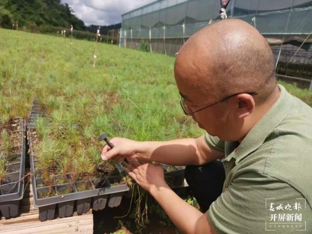 收获国内最大规模订单！昆明这里的菌种卖遍云贵川