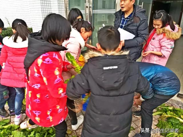 龙桂小学校本课程种植园“新芽园”之收获篇