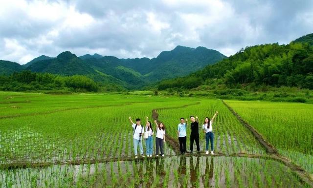 宁德蕉城区种粮大户林张宝：高山上种出“致富稻”