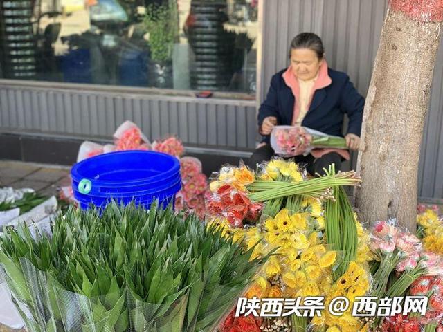 西安朱雀花卉市场春意正浓 多肉10块钱买5盆！