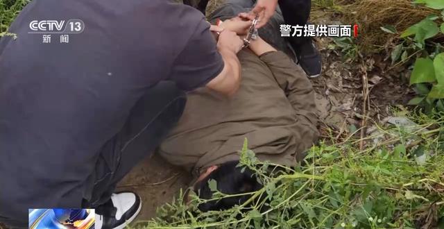 缴获毒品大麻120多公斤！山东一起特大系列制贩毒案告破