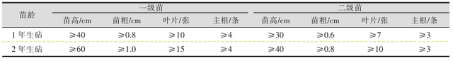 采取抗寒防冻栽培措施，有利于提高软条白沙枇杷鲜果产量和品质