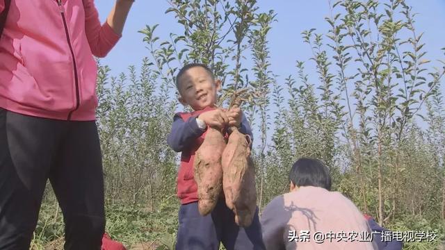 【农广天地】孙子故里 果香鱼肥