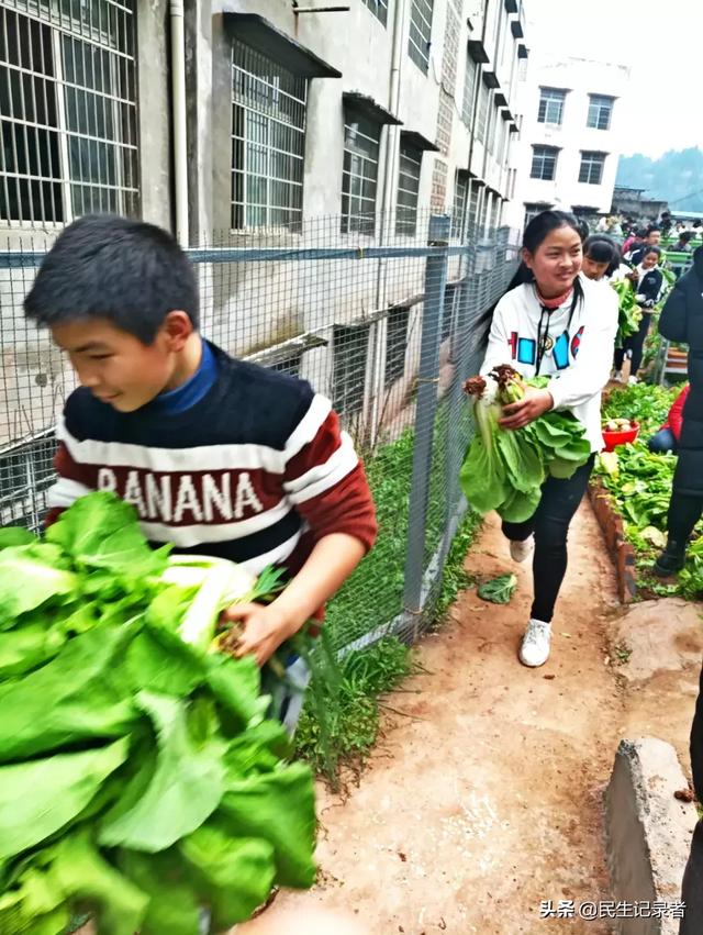 龙桂小学校本课程种植园“新芽园”之收获篇