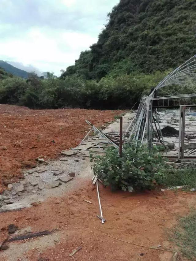 看了这篇超详细的柑橘建园攻略，我也能拥有跟种植牛人一样的园子