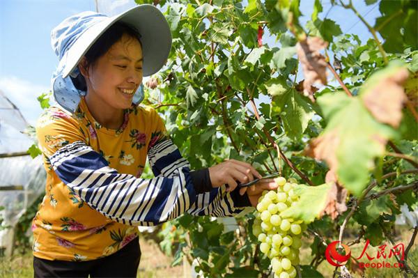 广西全州：赓续长征精神 绘就乡村振兴壮美画卷