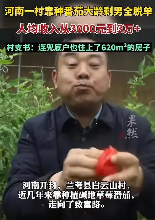 独家揭秘！他靠种番茄从剩男变身豪门大亨，引领整个村庄奇迹崛起