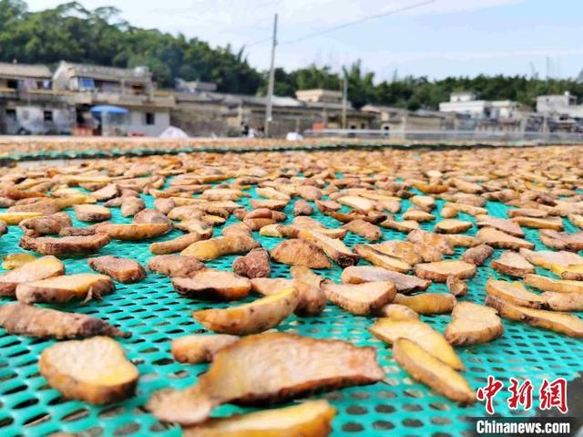 广东侨乡台山“鸡爪芋”中的家乡味道