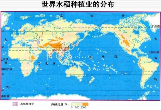 你知道水稻种植业、商品谷物农业和热带种植园农业之间的异同吗？