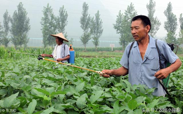 大豆要增产，这几点种植管理是关键！