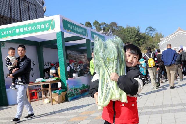 秋天的第一批增城迟菜心，来了！