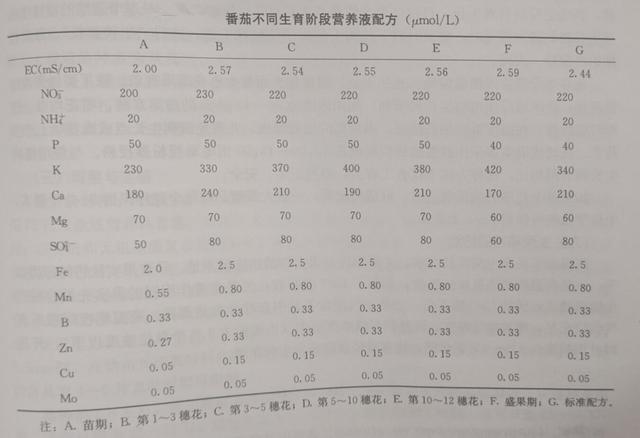 无土栽培西红柿，这8项技术标准一定要懂，是成功与否的关键