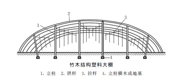 如何建造塑料大棚？如何安排蔬菜种植？