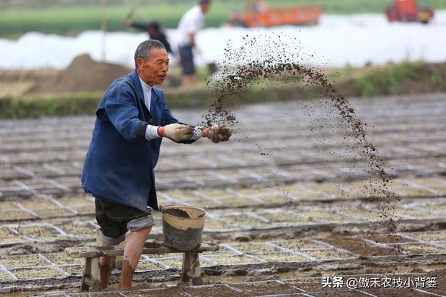 黏质、沙质、壤质的土壤差别大，“看地施肥”才能显著提高肥效